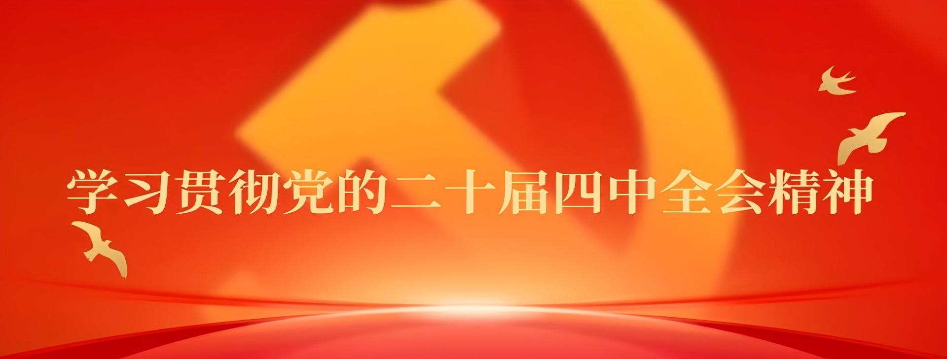 学习贯彻党的二十届四中全会精神